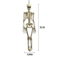 thumbnail image 3 of Danhjin Skull Skeleton 35 in Halloween Posable Skeleton Decor,Posable Joints Skeleton for Halloween Props Decoration, Indoor Centerpiece and Outdoor Use, 3 of 6