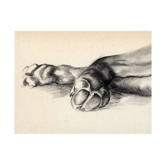 Jennifer Paxton Parker 'Charcoal Paws I' Canvas Art