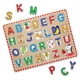 thumbnail image 1 of Puzle Melissa & Doug Lift & See Alphabet Wood, 26 piezas, 1 of 9