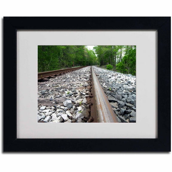 Trademark Fine Art "Guided Journey" Canvas Art by Monica Fleet, Black Frame