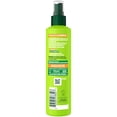 thumbnail image 2 of Garnier Fructis Sleek and Shine 10-in-1 Hair Care and Heat, 2 of 2