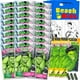 thumbnail image 1 of Set de obsequios para fiestas Marvel Incredible Hulk Kids, 24 paquetes, 1 of 6