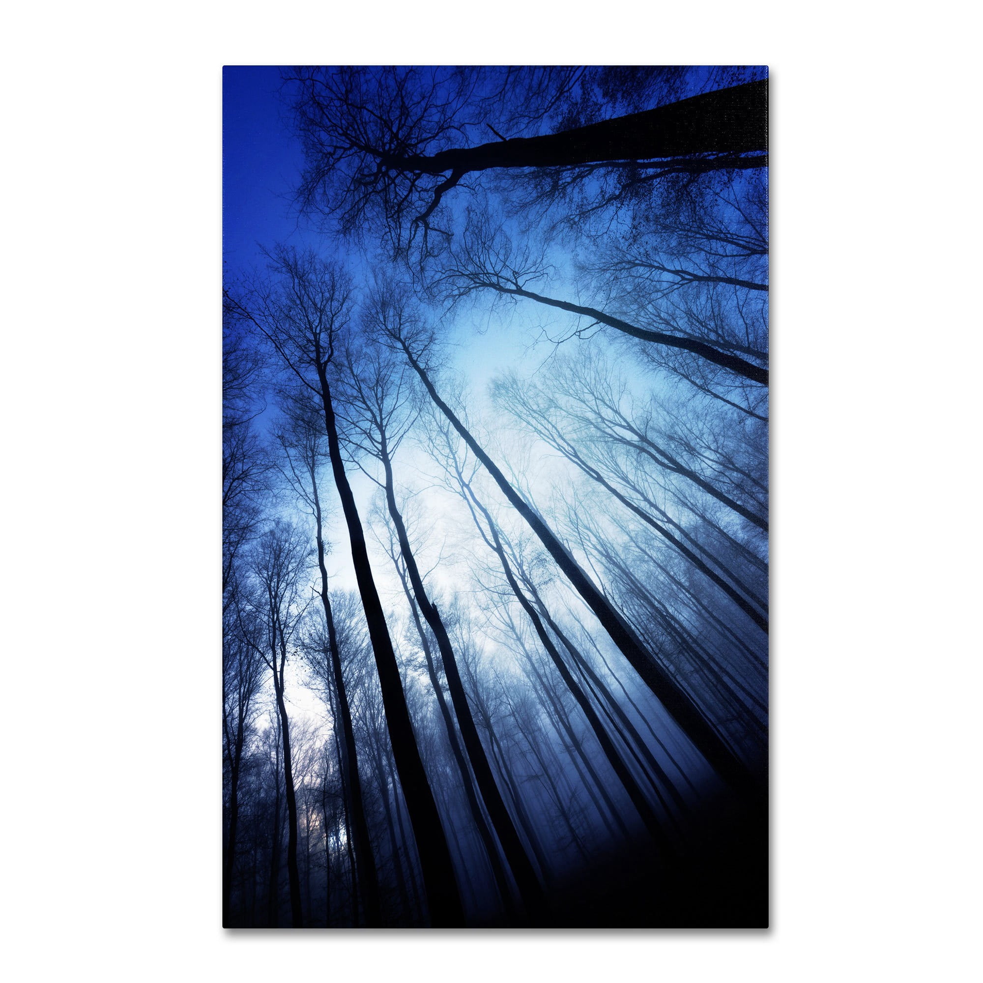 Trademark Fine Art "Blue Forest" Canvas Art by Philippe Sainte-Laudy
