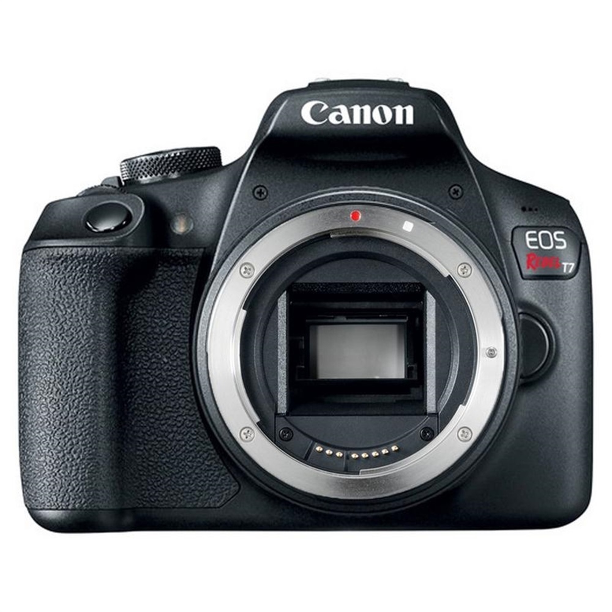 Canon EOS Rebel T7 24.1MP DSLR Camera + 18-55mm IS II + EF 50mm STM Lens - image 2 of 4