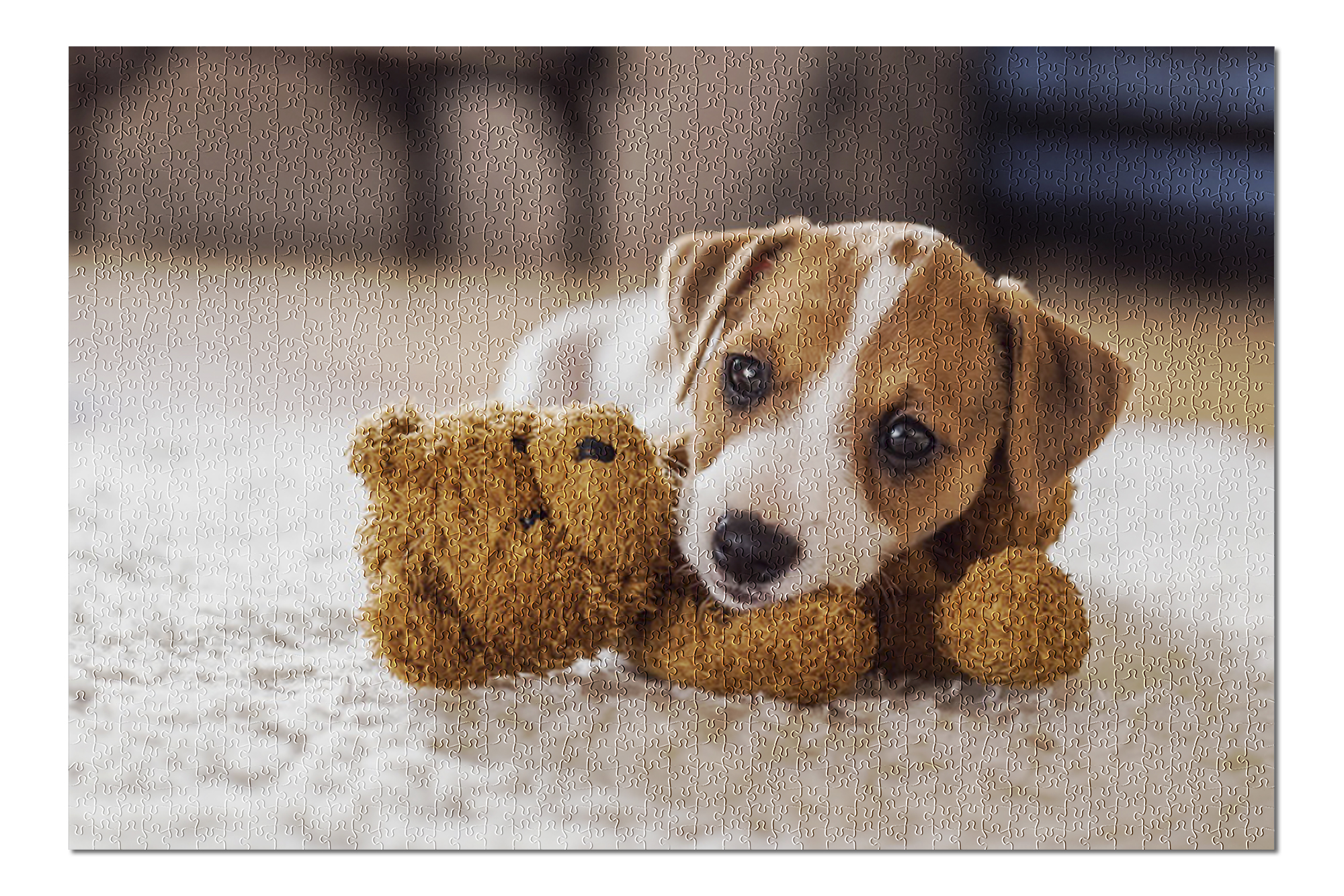 jack russell jigsaw