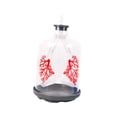 thumbnail image 2 of Lipstore Kids Teaching Lung Demonstration Model Lung Respiration Model for Kids Teens clear, 2 of 8