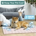thumbnail image 2 of PetAmi Cooling Mat for Dog, Premium Pet Cooling Blanket for Crate Kennel, Indoor Cat Cool Sleeping Pad, Q-MAX Cold Sofa Couch Cover for Summer (Pink, Medium (29x40)), 2 of 8