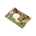 thumbnail image 3 of MKHERT Young Fawn Little Deer Countryside Rural Theme Placemats Table Mats for Dining Room Kitchen Table Decoration 12x18 inch,Set of 4, 3 of 4