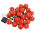thumbnail image 2 of Solar Powered Simulated Fruit String Lights Outdoor Courtyard Waterproof Decorative Ambient Lights Festival Decorations And Scenery Lights, 2 of 6