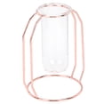 thumbnail image 1 of Jarrón transparente, jarrones transparentes para plantas hidropónicas, decoración del hogar, maceta para plantas hidropónicas, logre más, 1 of 9