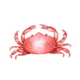 thumbnail image 2 of Atelier B Art Studio 15x15 White Modern Wood Framed Museum Art Print Titled - CRAB, 2 of 4