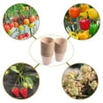thumbnail image 5 of GZJCKJY Biodegradable Seedling Kit Pulp Peat Pot Set for Growing Tools for Gardening Garden Supplies, 5 of 8