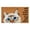 Seal Lila Point Birman, variant on Calloway Mills 109601729 Calico Cat Doormat 17" x 29"