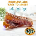 thumbnail image 5 of Pack Approved Beef Trachea - Dehydrated Beef Dog Treats Made in USA - Single Ingredient Treat w/ Chondroitin & Glucosamine - Dog Joint Health for Small to Medium Breeds - 5-6" (4ct), 5 of 10