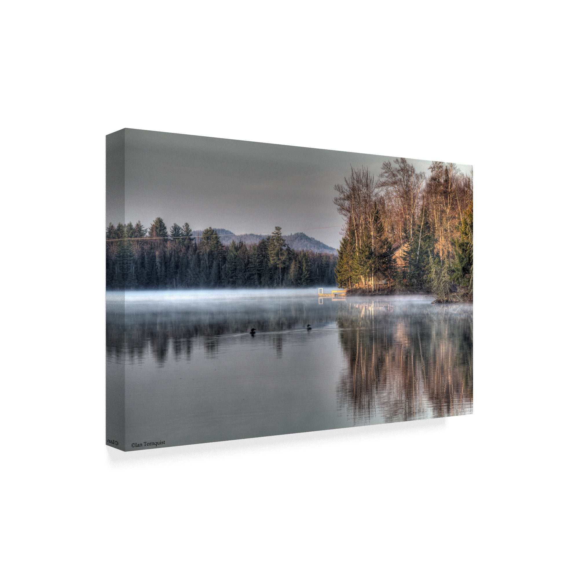 Trademark Fine Art 'Early Morning Swim Forest' Canvas Art by Ian Tornquist