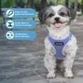 thumbnail image 2 of Arnés para perro y gato Best Pet Supplies Voyager de malla transpirable tipo step-in, talla S, 2 of 7