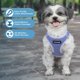 thumbnail image 2 of Arnés para perro y gato Best Pet Supplies Voyager de malla transpirable tipo step-in, talla S, 2 of 7