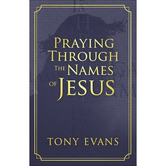 Pre-Owned Praying Through the Names of Jesus (Paperback) 0736975306 9780736975308