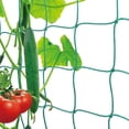 thumbnail image 4 of Climbing Net For Plants, 18-Strand Green Garden Trellis Netting For Vines Flowers Pothos, Plant Support Mesh Protection Against Birds Animals, 0.9X1.8M (36X72Inch) For Gardening, 4 of 6