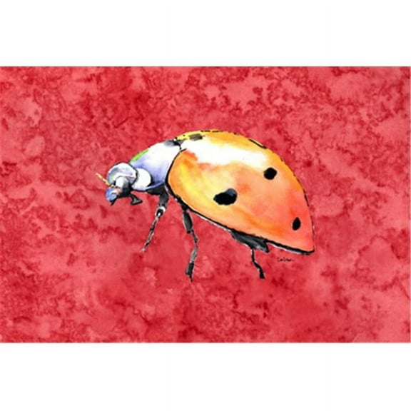 Lady Bug On Red Fabric Placemat