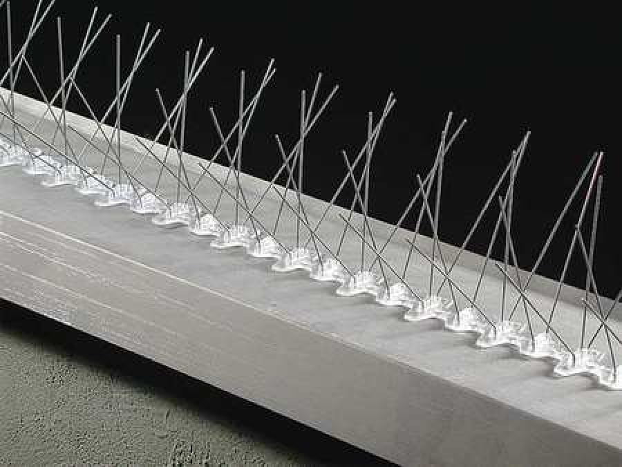 BIRD BARRIER BPF350 Bird Repellent Spikes,BirdFlite,50 ft.