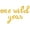 Gold, variant on Cursive Script Letter Balloons - ONE WILD YEAR 16" Inch Alphabet Letters Foil Mylar Balloon 1st Birthday Party Banner (Gold)