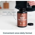 thumbnail image 6 of Ancient Nutrition Organ Supplements for Men, Once Daily Grass-Fed and Wild Organ Complex Tablets, Liver, Prostate, Pancreas Supports Male Performance, Healthy Aging, 30 Ct, 6 of 7