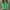 Green, variant on Mnyycxen Women's Oversized Turtleneck Chunky Pullover Sweaters Cowl Neck Long Sleeve Winter Slouchy Loose Knit Sweaters