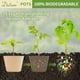 thumbnail image 5 of Macetas de turba Dalzom de 4 pulgadas y 60 unidades con etiquetas para plantas biodegradables, 5 of 7