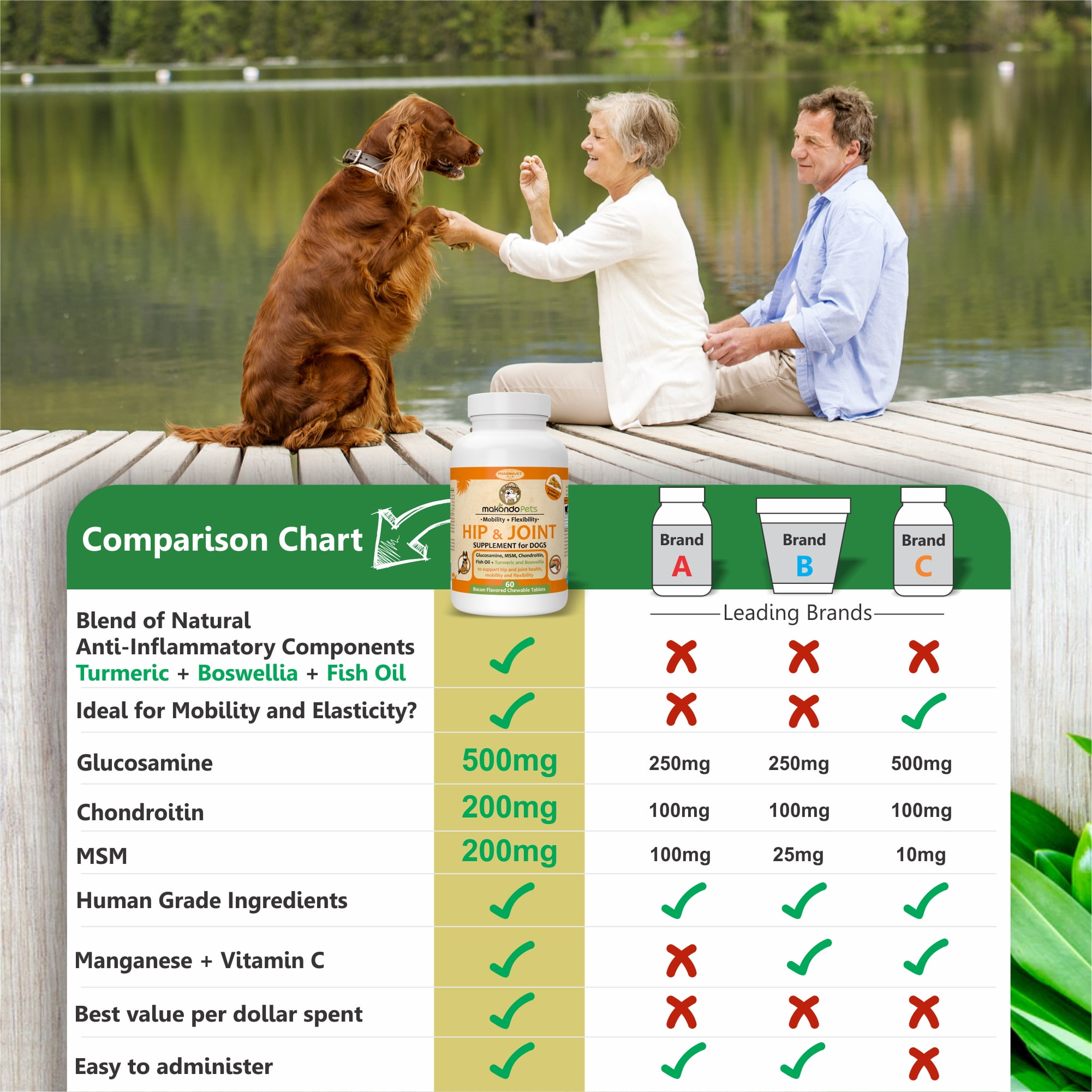 Can Dogs Take Human Msm