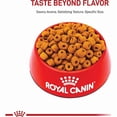 thumbnail image 2 of Royal Canin Breed Health Nutrition Labrador Retriever Adult Dry Dog Food 30 lbs., 2 of 2