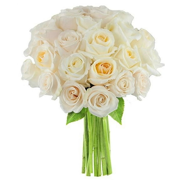KaBloom: Fall Collection- Bouquet of Fresh 12 White Roses, Next-Day Delivery, Gift for all occasions