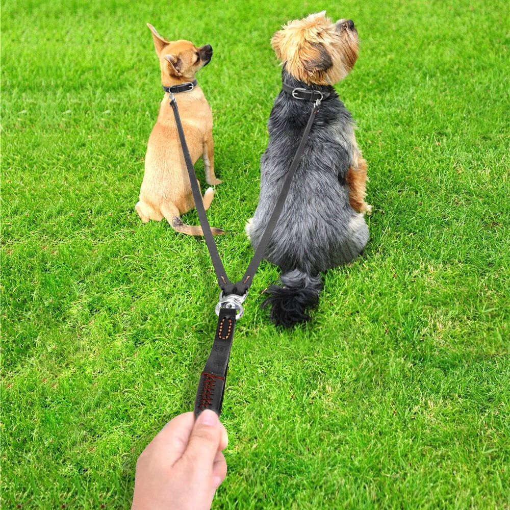 Didog 2 Way Real Leather Dog Double Leash Coupler Leashes for Two Twin Dogs Black Brown