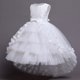 thumbnail image 1 of Vestidos infantiles para niñas, vestido de fiesta de flores de encaje, fiesta de bodas de cumpleaños, banquete de princesa, vestido de verano sin mangas para niños 7-8T (etiqueta 140) Gao Jinjia LED, 1 of 2