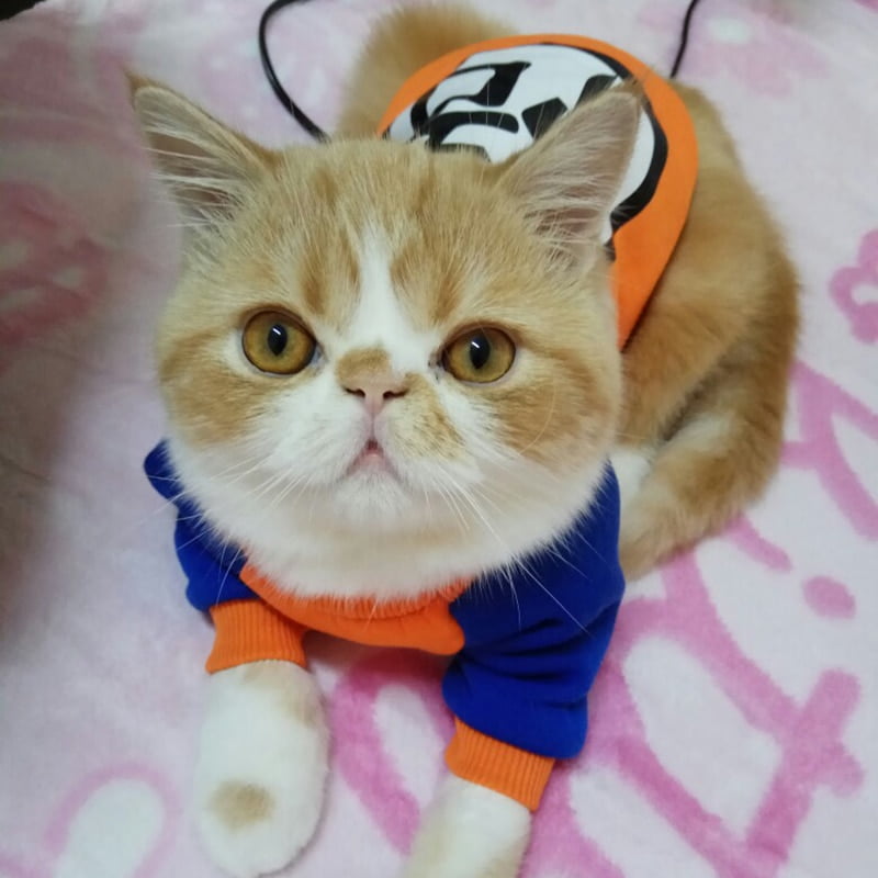 Fashion Pet Cat Costume Summer Cat Vest Hoodie Cozy Clothes for Cats Coat Clothing Sweatshirt Outfit Hoodie Wukong L Walmart