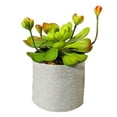 thumbnail image 1 of Simulación de plantas suculentas en macetas, estructura triangular de hierro, macetas de melamina, adornos creativos, plantas verdes artificiales, 1 of 5