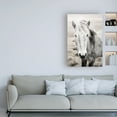 thumbnail image 3 of Trademark Fine Art 'Heida II BW' Canvas Art by Laura Marshall, 3 of 3