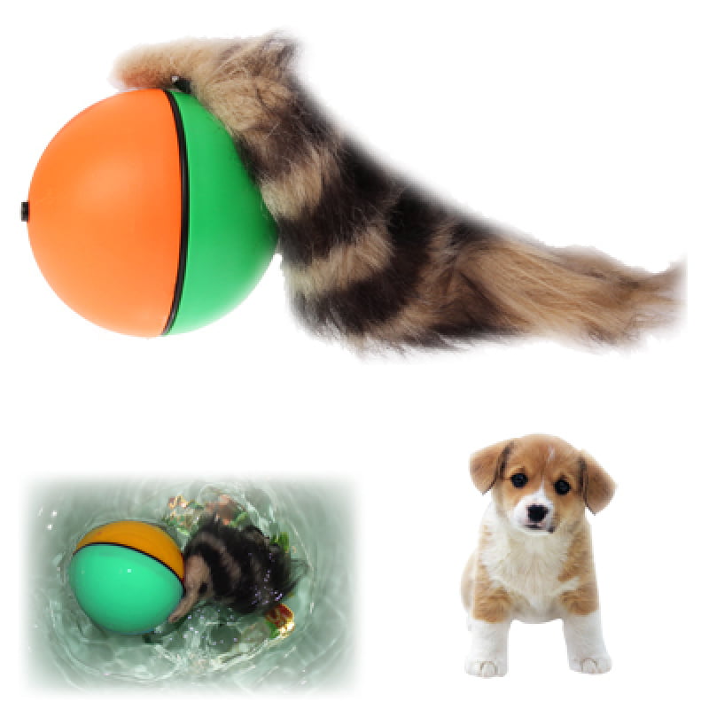 motorized ball dog toy