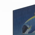 thumbnail image 2 of Luxe Metal Art 'Powder Blue Tang' by Durwood Coffey, Metal Wall Art, 24"x16", 2 of 8