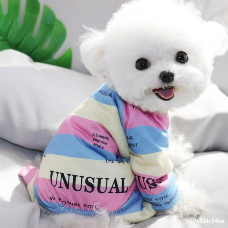 Pitbull hotsell puppy clothes