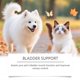 thumbnail image 3 of Cat and dog care drops: gentle care for cats and dogs, providing comfort and vitality as a dietary supplement., 3 of 4