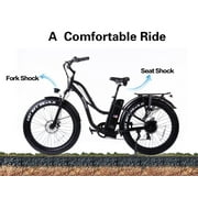 SOHOO 48V750W16AH 26"x4.0 Fat Tire Adult Electric Bicycle Step-Thru Beach Cruiser Snow eBike (Black)