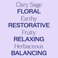 thumbnail image 3 of Plant Therapy Clary Sage Essential Oil 100 ml (3.3 oz) 100% Pure, Natural Aromatherapy, for Women's Health, 3 of 8