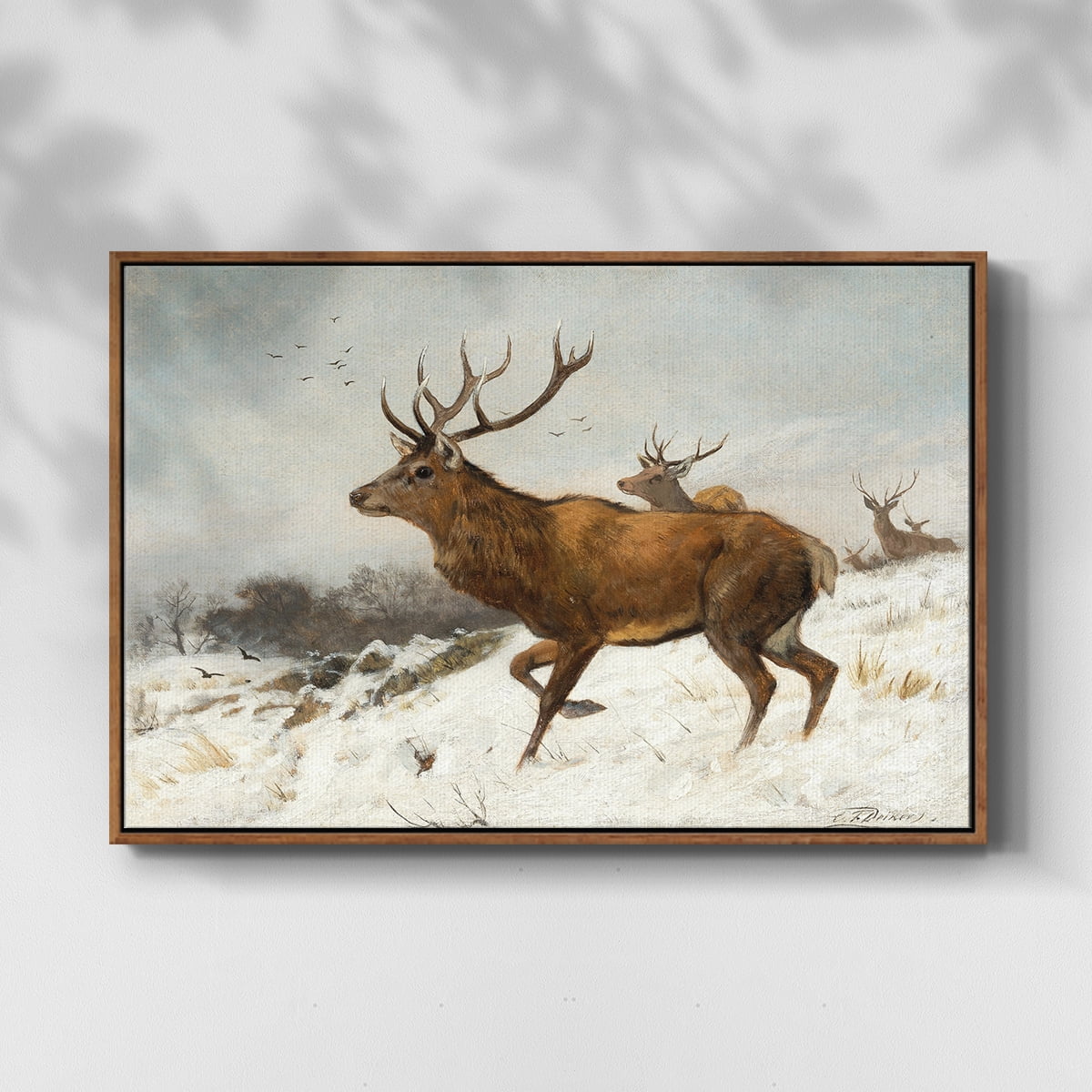 Vintage Animal Print-V By Wexford Home Framed in Walnut Wood Gallery Wrapped Canvas 17 in. x 25 in.