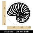 thumbnail image 2 of Nautilus Beach Sea Shell Self-Inking Rubber Stamp Ink Stamper - Orange Ink - Small 3/4 Inch, 2 of 7