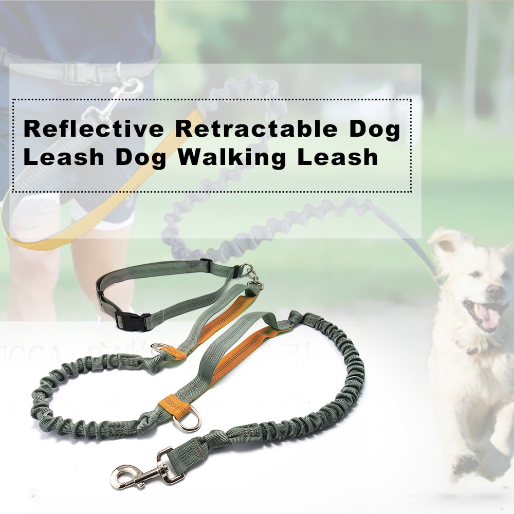 reflective retractable dog leash