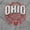 Sport Grey, variant on Ohio OH Student Campus Pride Seal Men's Graphic T Shirt Tees Brisco Brands S