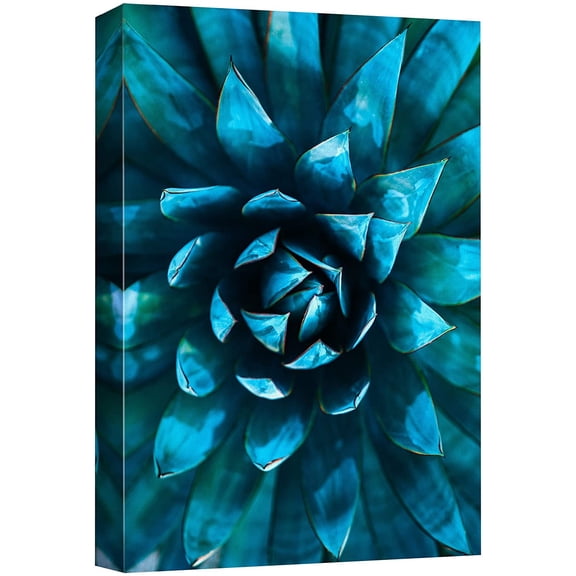 wall26 Canvas Print Wall Art Vibrant Blue Teal Desert Succulent Details Nature Wilderness Photography Realism Floral Botanical Multicolor for Living Room, Bedroom, Office - 12"x18"