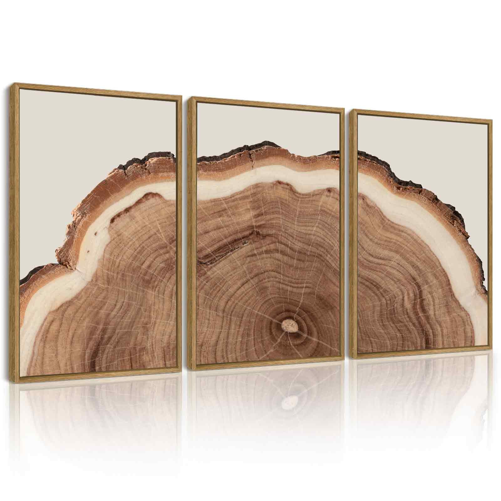 SHENIFY Tree Rings Wood Wall Art 16x24in3pcs Natural Framed Modern Retro Beige Wood Stump Nature Decor Artwork Prints Rustic farmhouse Home Office