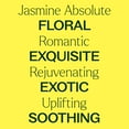 thumbnail image 4 of Plant Therapy Jasmine Sambac Absolute Pre-Diluted Essential Oil Roll-On 10 mL (1/3 oz) 100% Pure, Natural Aromatherpay, Therapeutic Grade, 4 of 8
